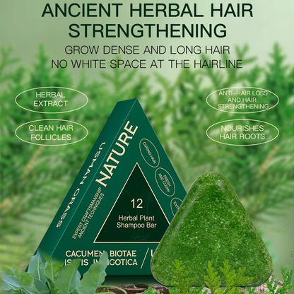 Natural Herbal Anti-Hair Loss Shampoo Soap for Scalp Care and Hair Strengthening